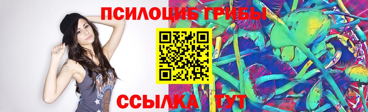 Псилоцибиновые грибы GOLDEN TEACHER  Вход с VPN  Галлюциногенные грибы ЛСД  Белгород 